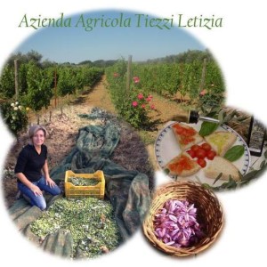 azienda agricola letizia tiezzi fornitori ristorante cantina